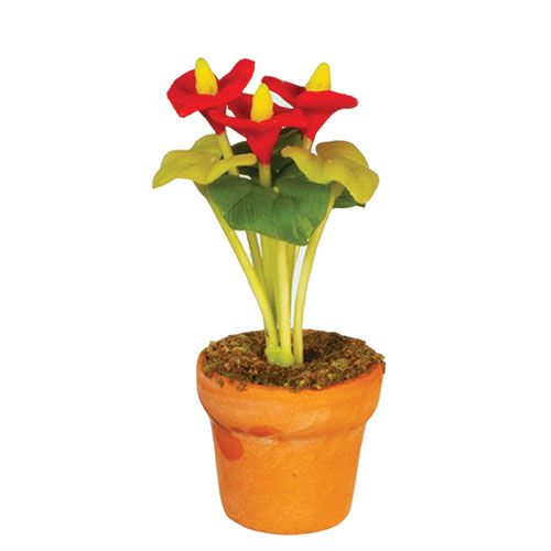 AZG6784 - Potted Anthurium/Red/Yel