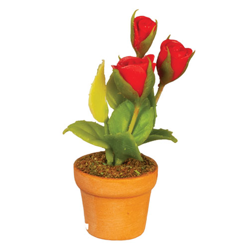 AZG6785 - Potted Flower
