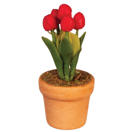 AZG6786 - Potted Tulip