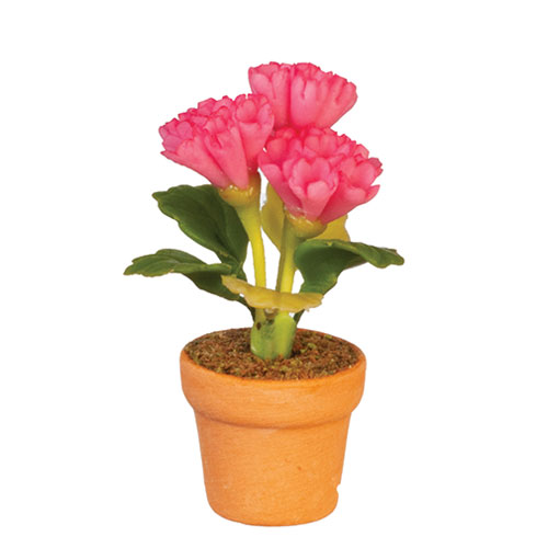 AZG6789 - Potted Flower