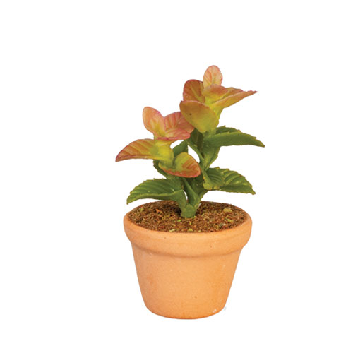 AZG6790 - Potted Plant
