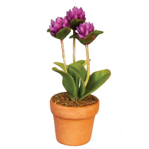 AZG6791 - Potted Flower