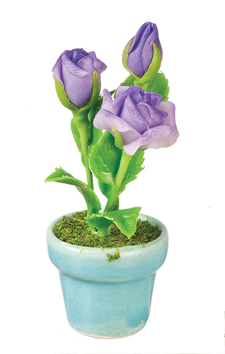AZG7375 - Roses In Pot/Lavender
