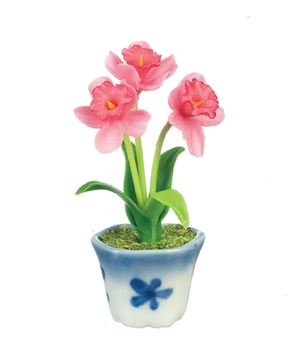 AZG7380 - Daffodils In Pot, Hot Pink