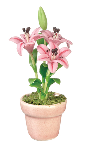 AZG7407 - Lilies In Pot/Pink