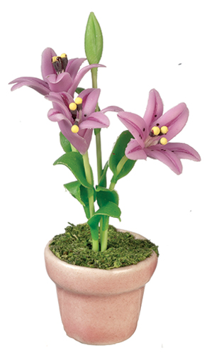 AZG7408 - Lilies In Pot/Lavender