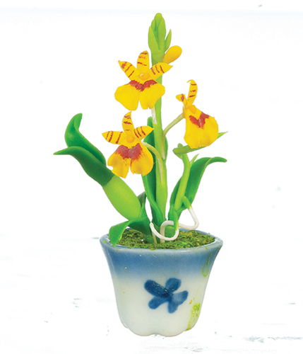 AZG7424 - Oncidium Orchid/Yellow