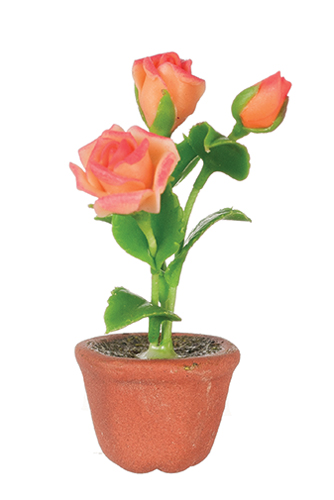 AZG7451 - Roses In Pot, Orange