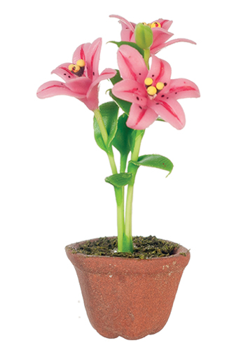 AZG7471 - Lilies In Pot, Hot Pink