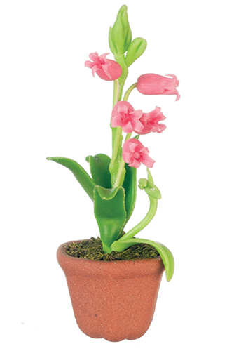 AZG7474 - Lilies In Pot/Pink