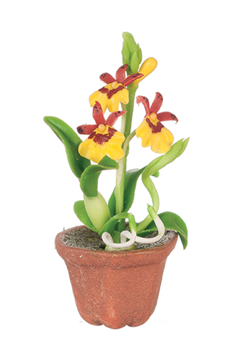 AZG7481 - Oncidium Orchid/Yellow