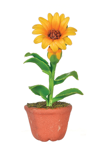AZG7493 - Sunflower In Pot