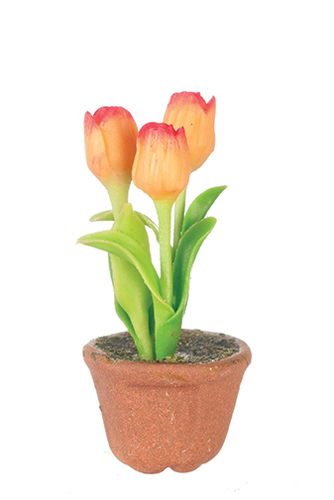 AZG7496 - Tulips In Pot, Orange