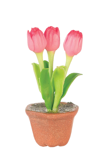 AZG7497 - Tulips In Pot/Pink