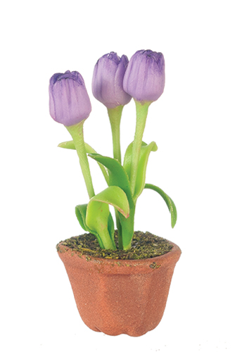 AZG7498 - Tulips In Pot/Purple