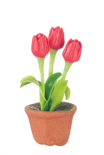 AZG7499 - Tulips In Pot, Red