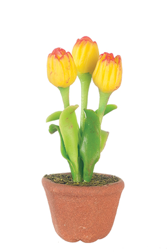 AZG7500 - Tulips In Pot, Yellow/Red