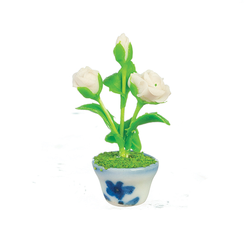 AZG7569 - White Rose In Pot