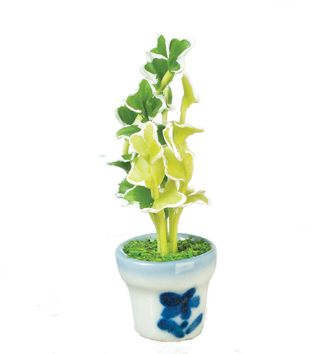 AZG7589 - Ivy Spring Plant In Pot