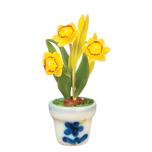 AZG7813 - Daffodils In Pot