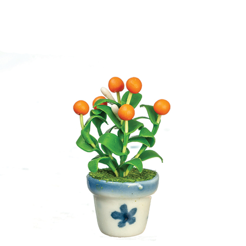 AZG8503 - Orange Tree Plant