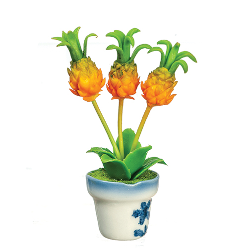 AZG8506 - Pineapple Plant