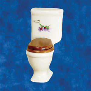 AZM0349T - Toilet, White With Decal