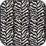 BPCAN02 - Cotton Fabric: Zebra