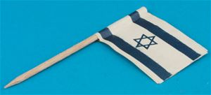 BYBJST2 - Jewish Flag