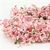 CA0125 - Wild Bushes - Spring Pink Mix, 20 pieces