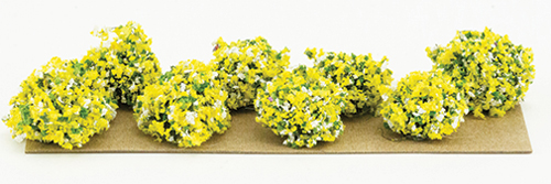 CA0200 - 3/4&quot; Yellow Border Plants(8)