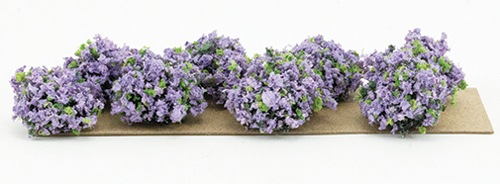 CA0202 - 3/4&quot; Violet Border Plants(8)