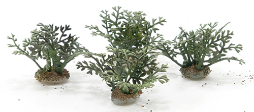 CA0362 - Fern Plants, 4 Pieces