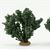 CA0369 - Grease Wood Plants (3)