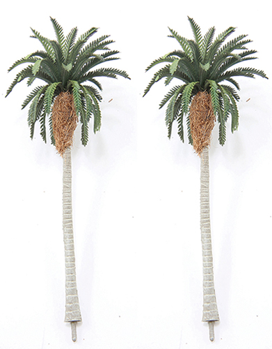 CA0551 - 4-1/2&quot; Date Palm Tree (2)