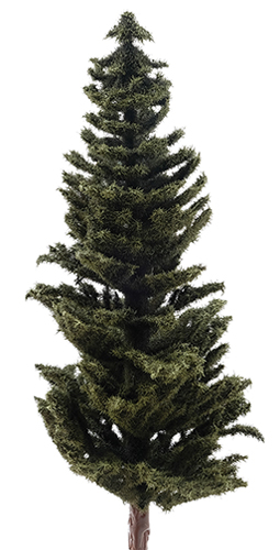 CA0557 - Conifer Tree on Spike, 8 Inches