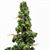 CA0565 - Large Sequoia Tree on Spike, 17 Inches