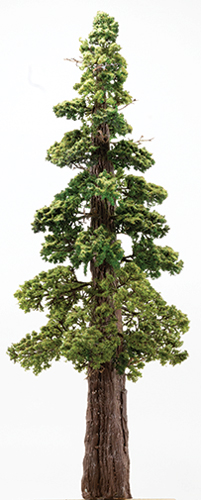 CA0566 - Jumbo Sequoia Tree on Spike, 21 Inches