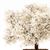 CA1560 - Ornamental White Dogwood Tree on Spike, 4 Inches