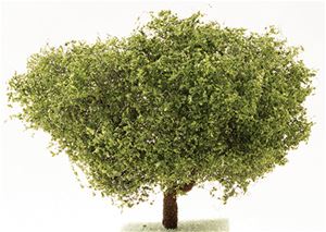 CA1561 - Ornamental American Beech Tree on Spike, 4 Inches