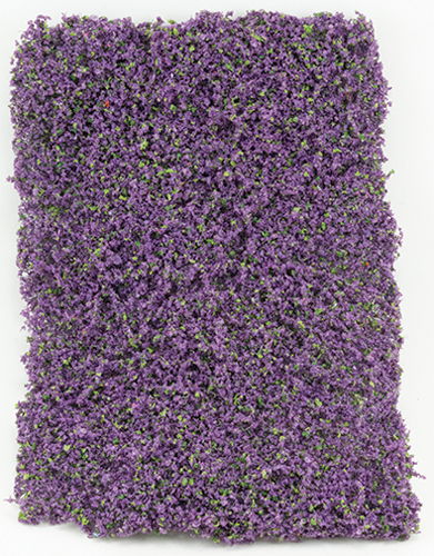 CA4129 - Purple Leaf Micro-Phlox
