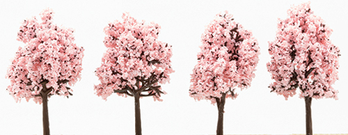 CA7006 - 2-1/2 Inch Flowering Cherry Tree, 4PK