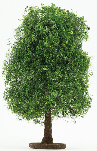 CABHL06 - Bush: Variegated Green, Large 8 Inch Tall