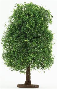 CABHL06 - Bush: Variegated Green, Large 8 Inch Tall