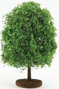 CABHS06 - Bush: Variegated Green, Small
