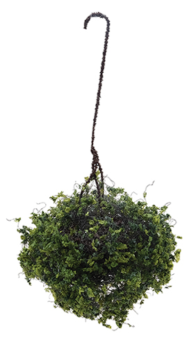 CAHBL06 - Hanging Basket: Variegated Green, Large