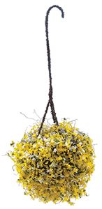 CAHBL19 - Hanging Basket: Yellow-White, Large