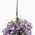 CAHBL33 - Hanging Basket: Purple Petunia, Large