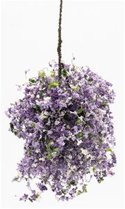 CAHBL33 - Hanging Basket: Purple Petunia, Large