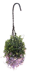 CAHBS16 - Hanging Basket: Pink-Purple-White, Small